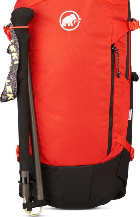 mammut rosso, Nero