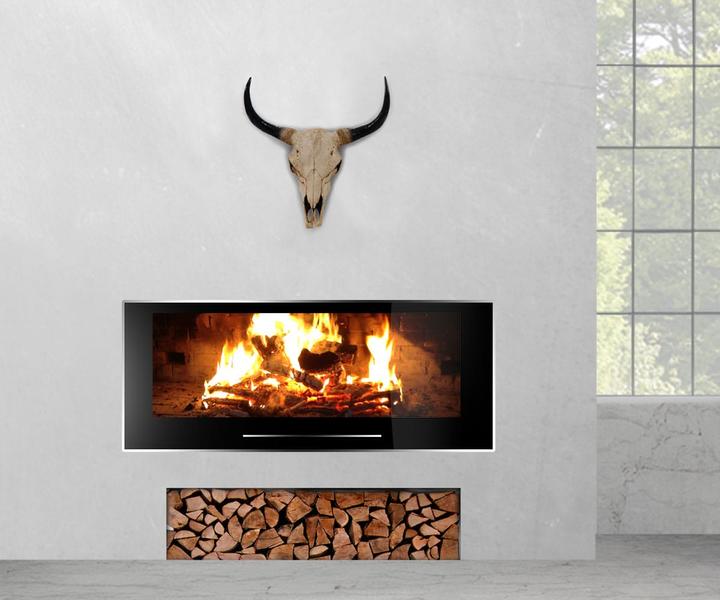 Immagine prodotto JOHN316 Deko Schädel 45cm Stier