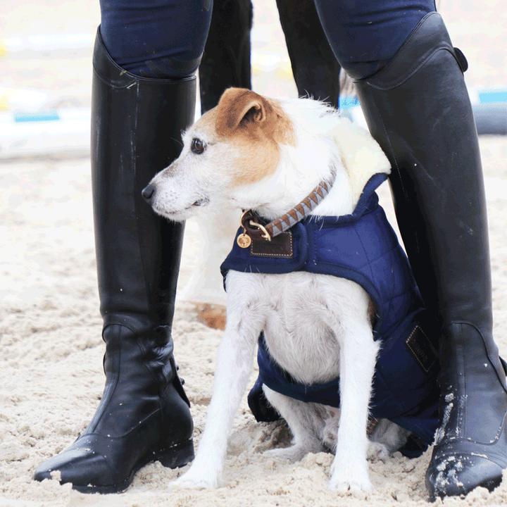 Produktbild Kentucky Dogwear Hundemantel 160g (S, M, Hundemantel)
