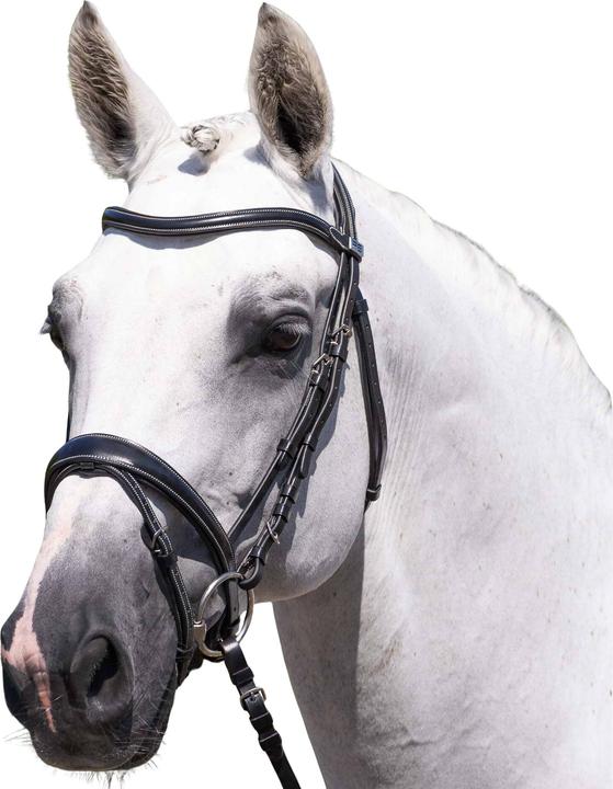 Immagine prodotto Premier Equine Cassano