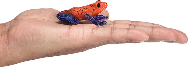 Actual product image small foot Poison Dart Frog