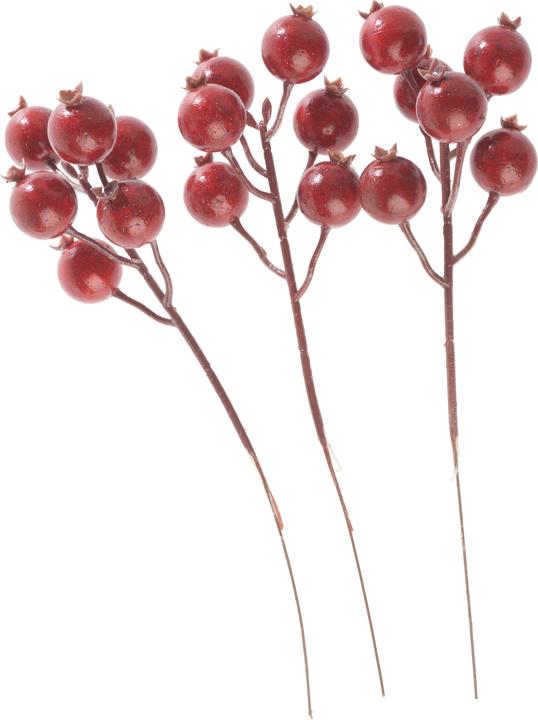 Image du produit DPI Bouquet d'églantines, rouge
