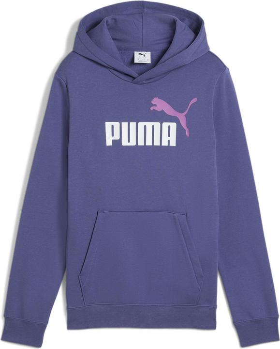 Puma ESS 2 COLOR No. 1 Logo Hoodie FL B