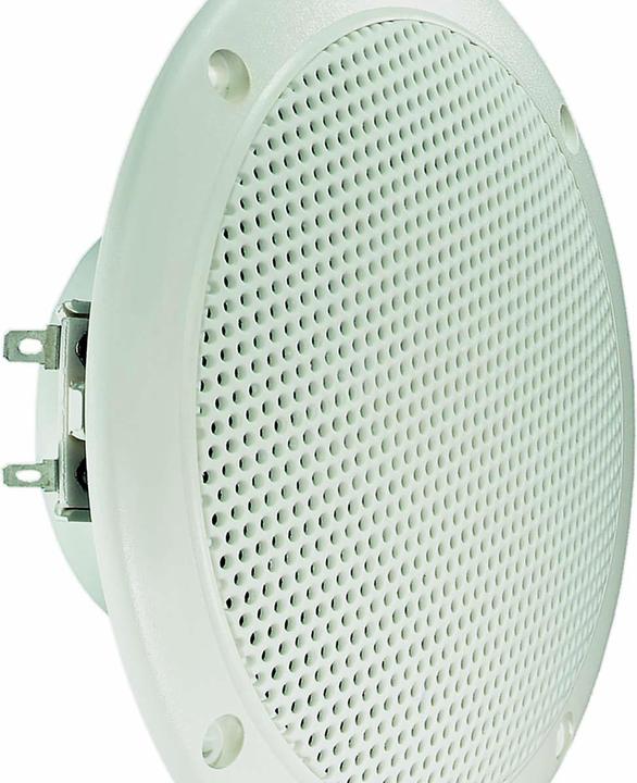 Image du produit Visaton Haut-parleur à large bande FR 13 WP
