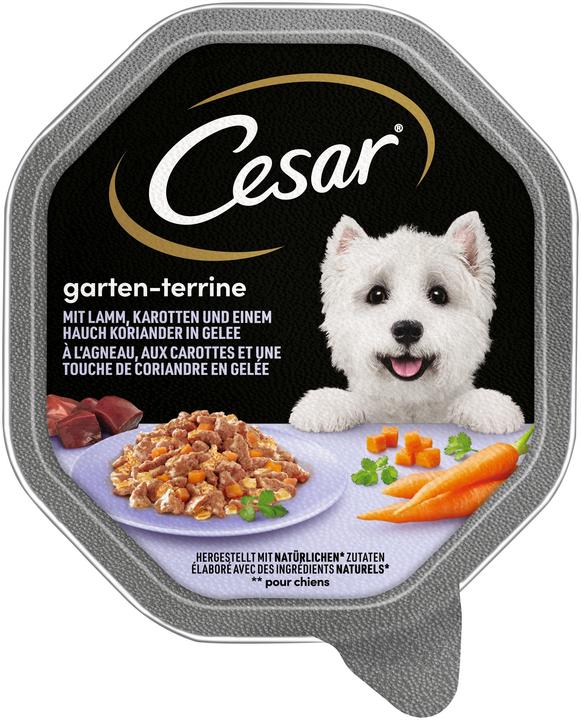Actual product image Cesar Casar, dog food, lamb with carrots and coriander, 150 g (Adult, 1 pcs., 150 g)