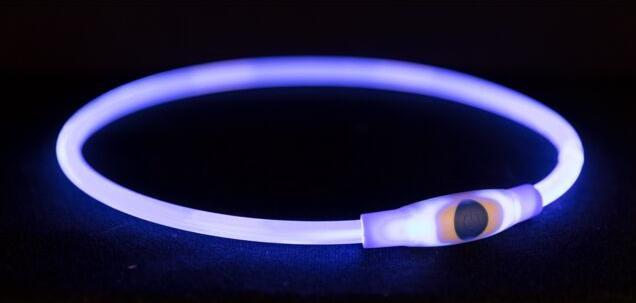 Trixie Flash Leuchtring USB (S, M, Hund, Hundesport)
