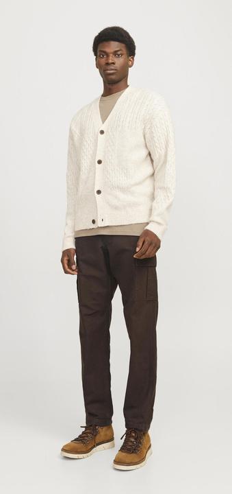 Actual product image Jack & Jones Loose Fit Cargo-Hose Cargo-Hose (W27/L32)