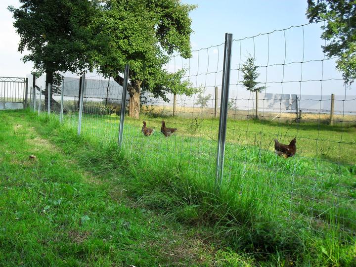 Immagine prodotto Aquagart 450m Wildzaun Forstzaun Weidezaun Drahtzaun Knotengeflecht 180/16/15