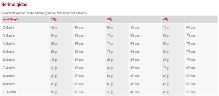 Actual product image Royal Canin Junior Yorkshire Terrier (Junior, 1 pcs., 500 g)