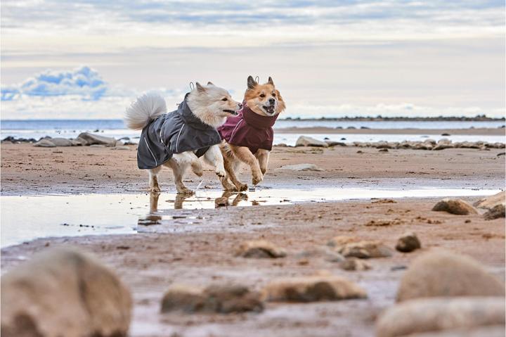 Actual product image Hurtta Mackintosh Mudventure Eco Dark grey, 55 cm (Dog raincoat)