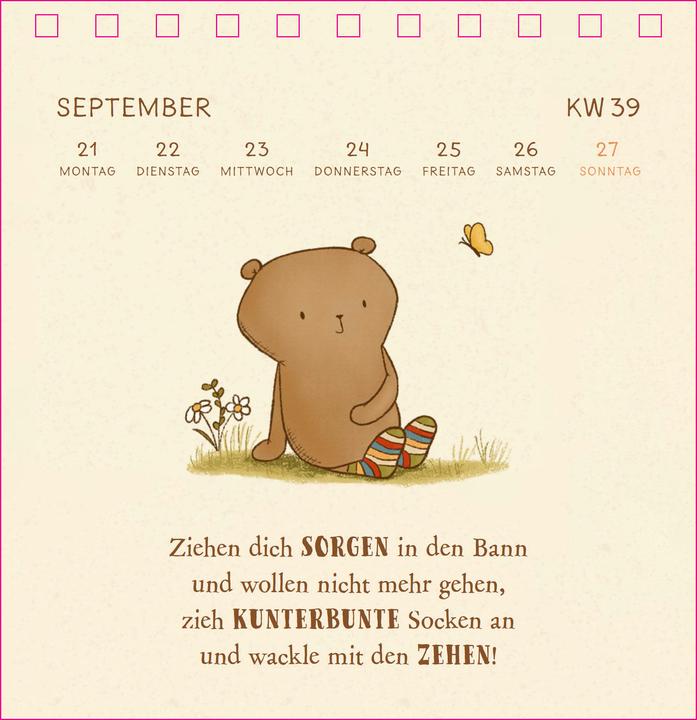 Image du produit Siefert:Mister O'Lui Tischkalender 2026 (Allemand)