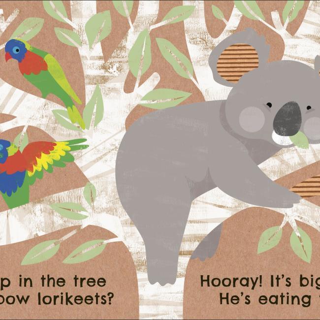 Image du produit Eco Baby Where Are You Koala? (Anglais, 2021)