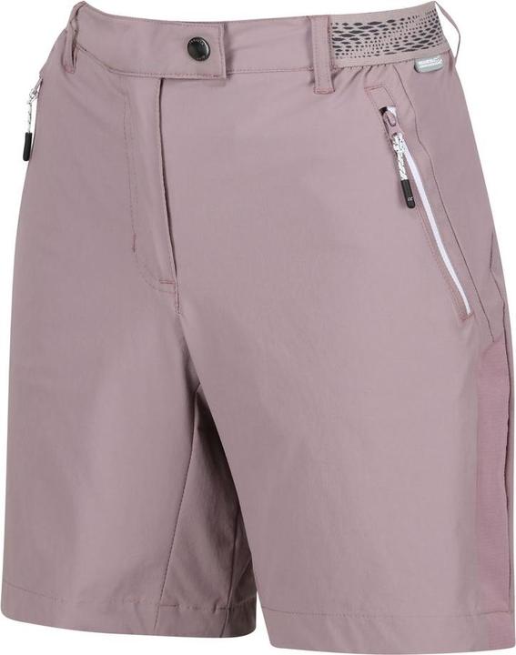 Image du produit Regatta Short de montagne II (XL)