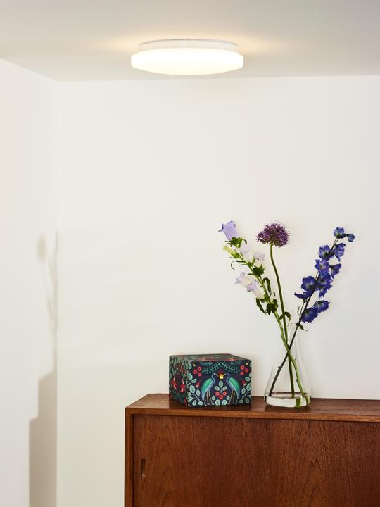 Actual product image Lucide Otis (910 lm)
