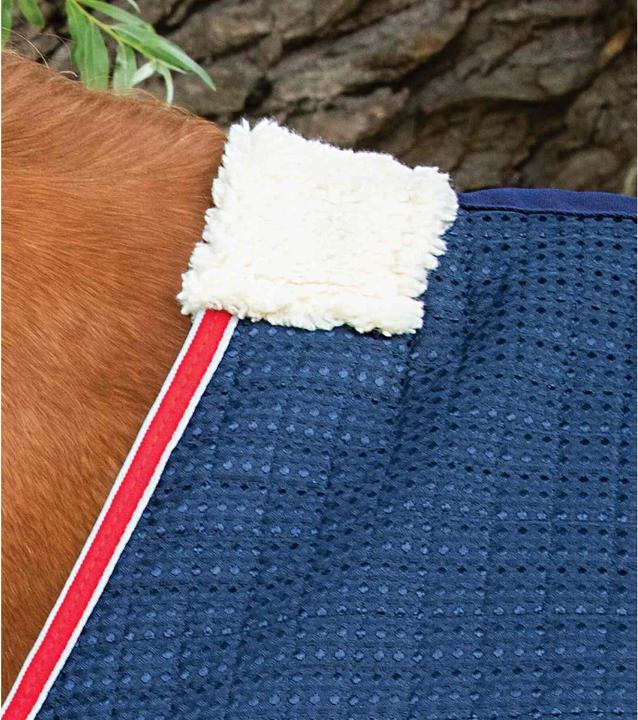 Produktbild Premier Equine Walker 0 g (206 cm)