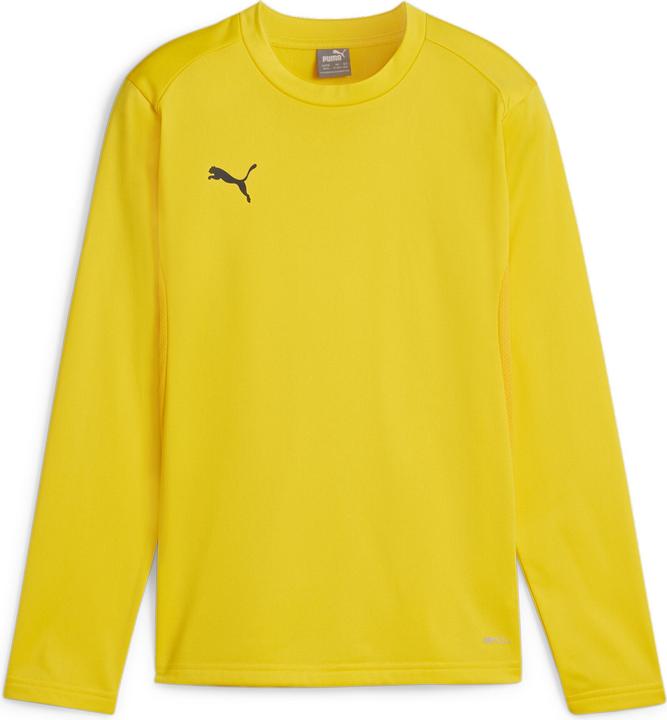 Image du produit Puma teamGOAL Sweat d'entraînement Jr (164)