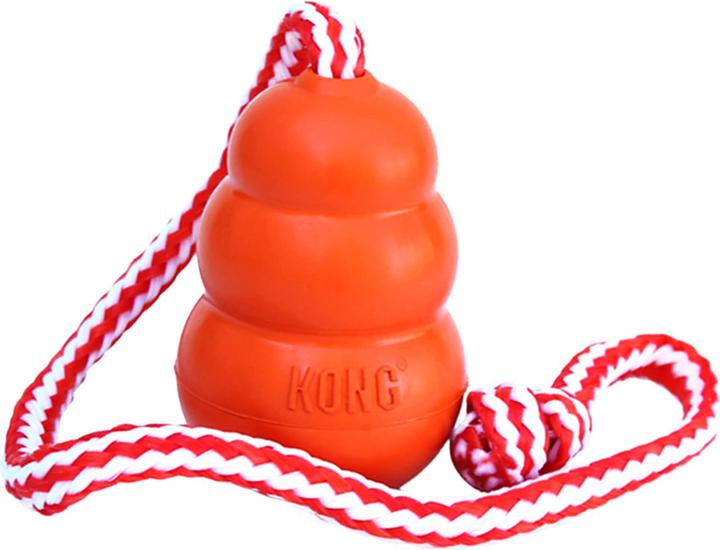 Produktbild KONG Aqua (Apportieren)