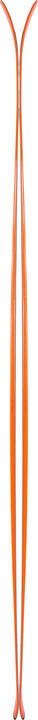 Image du produit Black Crows Ski Vastus Freebird 2021 (163 cm, Sans reliure)