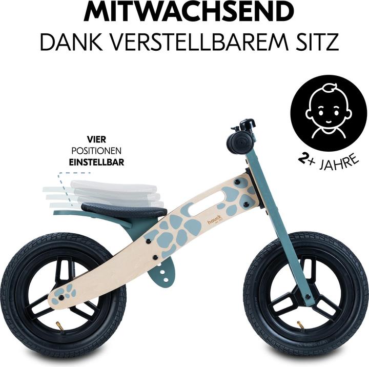 Actual product image Hauck Balance N Ride (12")