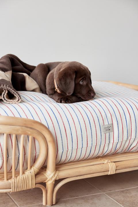 Image du produit Oyoy ZOO - Kyoto Dog Cushion Large - Mellow (Z60060) (Chien)