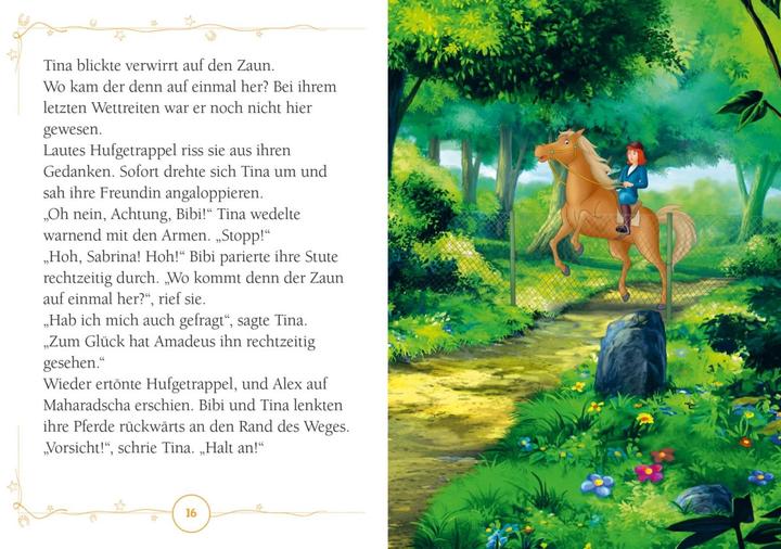 Actual product image Bibi and Tina: Club of the Secret Riders (German)