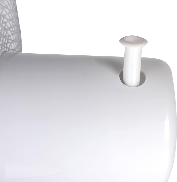 Actual product image Lifetime Air Fan Standing