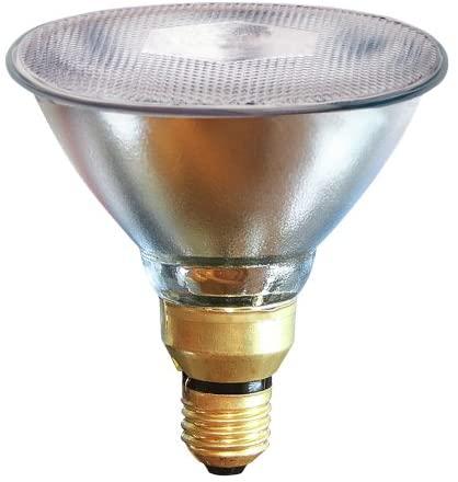 Actual product image Kerbl Infrared lamp hard glass clear E27 (250 W)