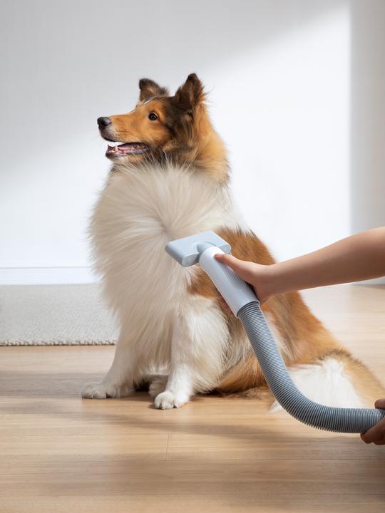 Actual product image HomeRunPet Pet hairdryer PD10 (Dog)