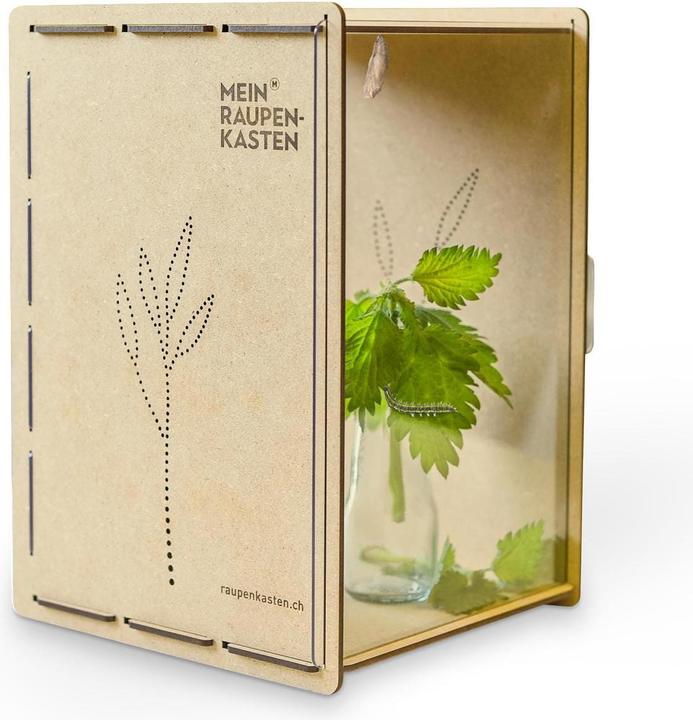 Mein Raupenkasten Insetto hotel caterpillar box (Farfalle)