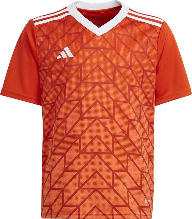 Image du produit adidas Team Icon 23 Maillot (152)