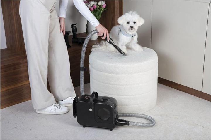 Produktbild BerlingerHaus Haus Staubsauger Pet Black Rose Collection