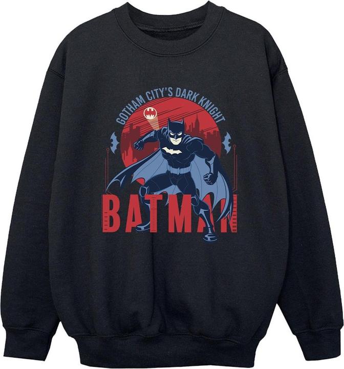 Immagine prodotto Batman Gotham City Felpa Ragazzi (152, 158)