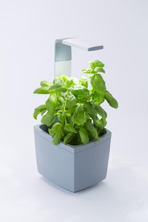 Produktbild Tregren Kräutertopf T3 (19.50 cm)