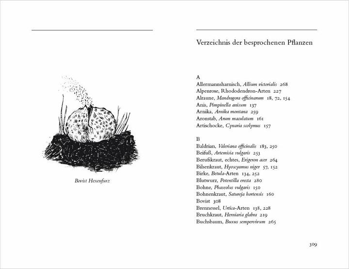 Produktbild Hexenkräuter. Alte Heilpflanzen und ihre Kräfte (Deutsch, Gerd Haerkötter, Marlene Haerkötter, 2023)