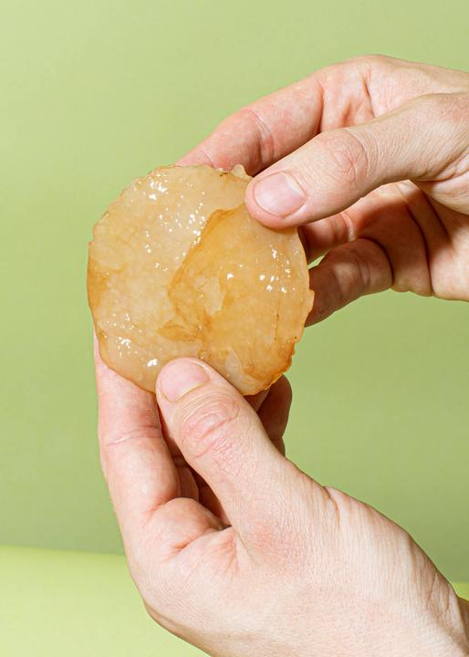 Immagine prodotto KoRo Scoby di kombucha (1 x 20 cl)