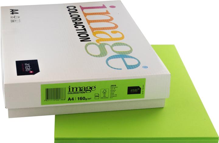 Actual product image Image Copy paper Java A4 (160 g/m², 250 x, A4)