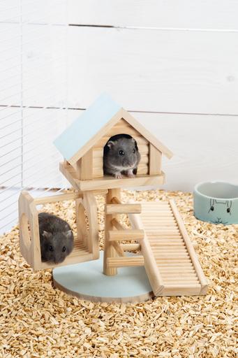 Actual product image Beeztees Bz Wood Rodent Playhouse Lovy Mi