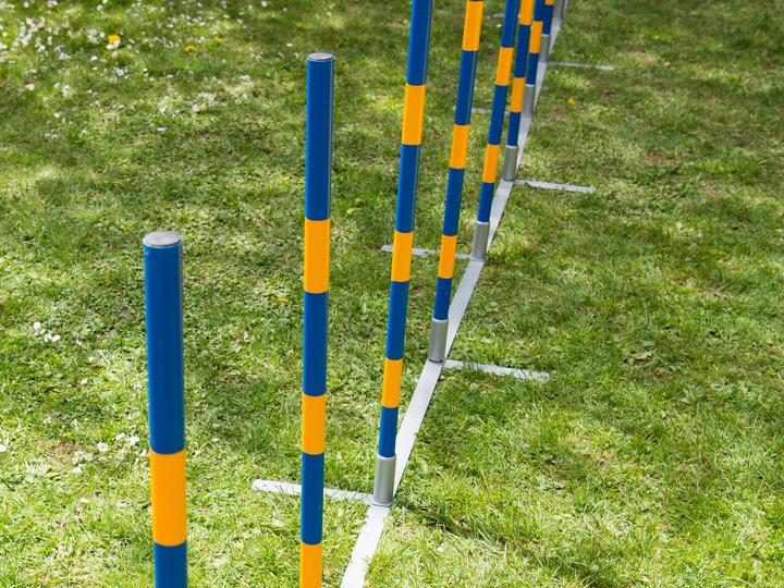 Immagine prodotto Petcenter Slalom professionale di agilità (Taglia unica, Destrezza)