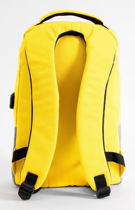 Actual product image Pantone PT-BK102Y 15.6' Notebook Backpack