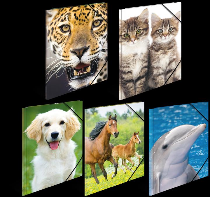 Actual product image HERMA A3 motif folder (A3, 1 x)