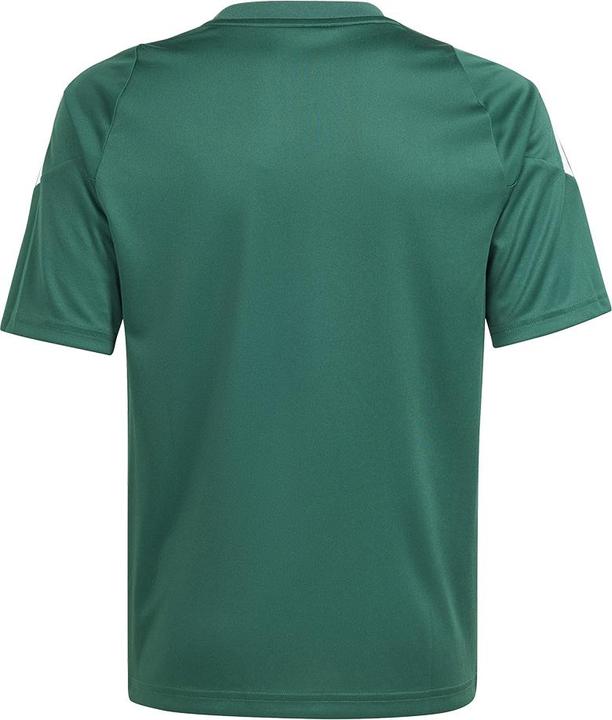 Image du produit adidas TIRO24 JSY Y (176)