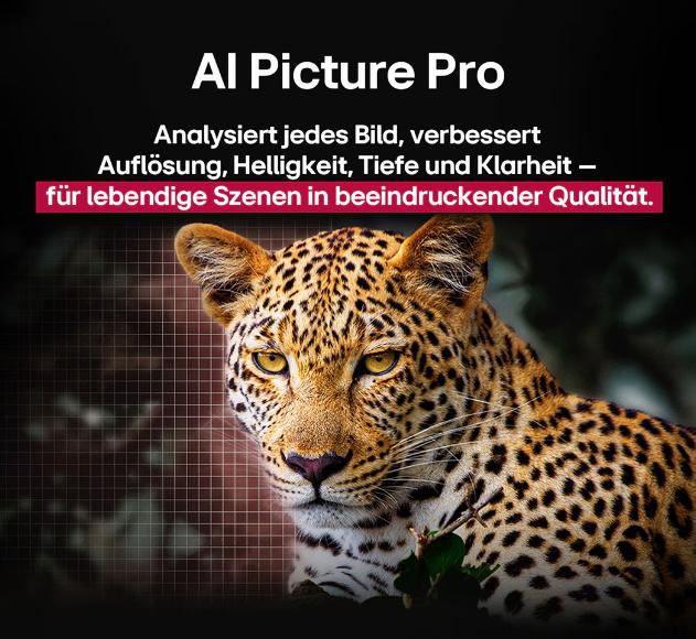 Actual product image LG 65 Zoll OLED AI B5 4K Smart TV (65", OLED, 2025)