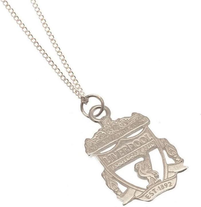 Actual product image Score Draw Silver Painted Necklace & Pendant (100% synthetic material)