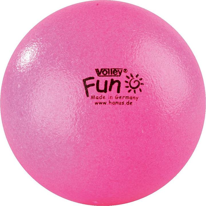 Volley Soft foam ball Fun