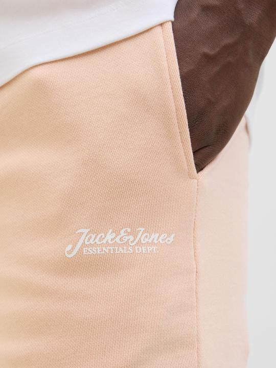 Produktbild Jack & Jones Regular Fit Shorts Shorts (XXL)