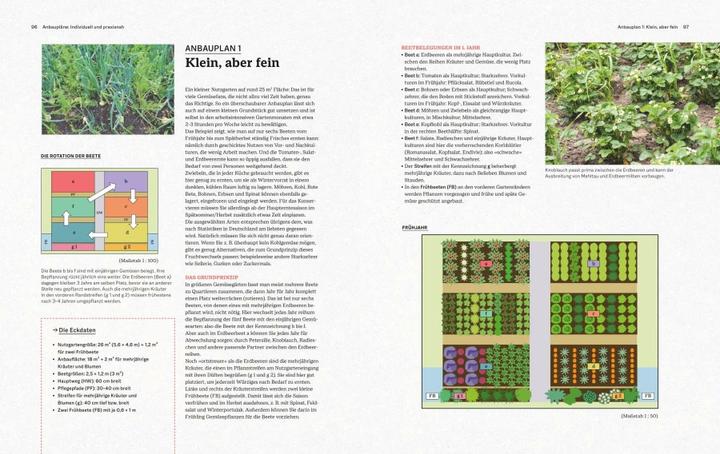 Immagine prodotto Das grosse Handbuch Gemüse-Anbauplanung (Tedesco, Gioacchino Mayer, 2021)