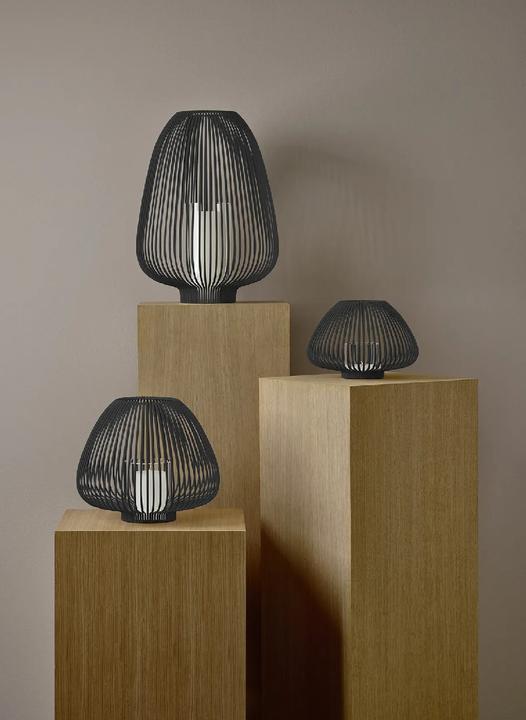 Image du produit Blomus LYVA Laterne black M 26,5cm (1 x)