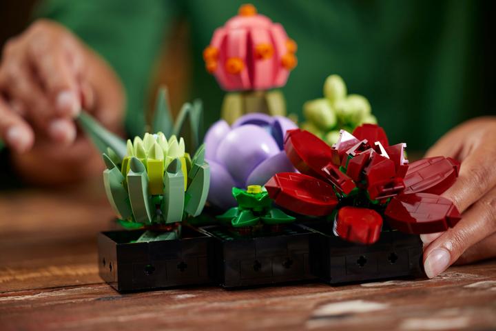 Actual product image LEGO Succulents (10309, LEGO Botanical, LEGO Rare Sets)