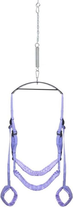 Actual product image Pipedream Fantasy Swing