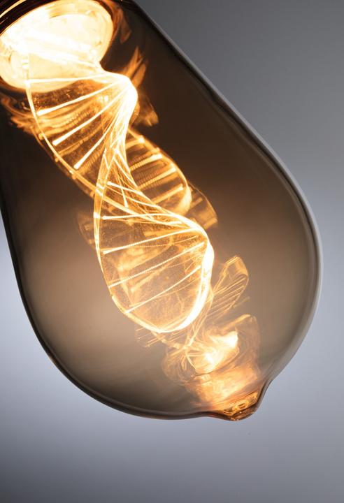Image du produit Paulmann LED en forme d'ampoule Inner Glow Helix E27 (E27, 3.50 W, 180 lm, 1 x)
